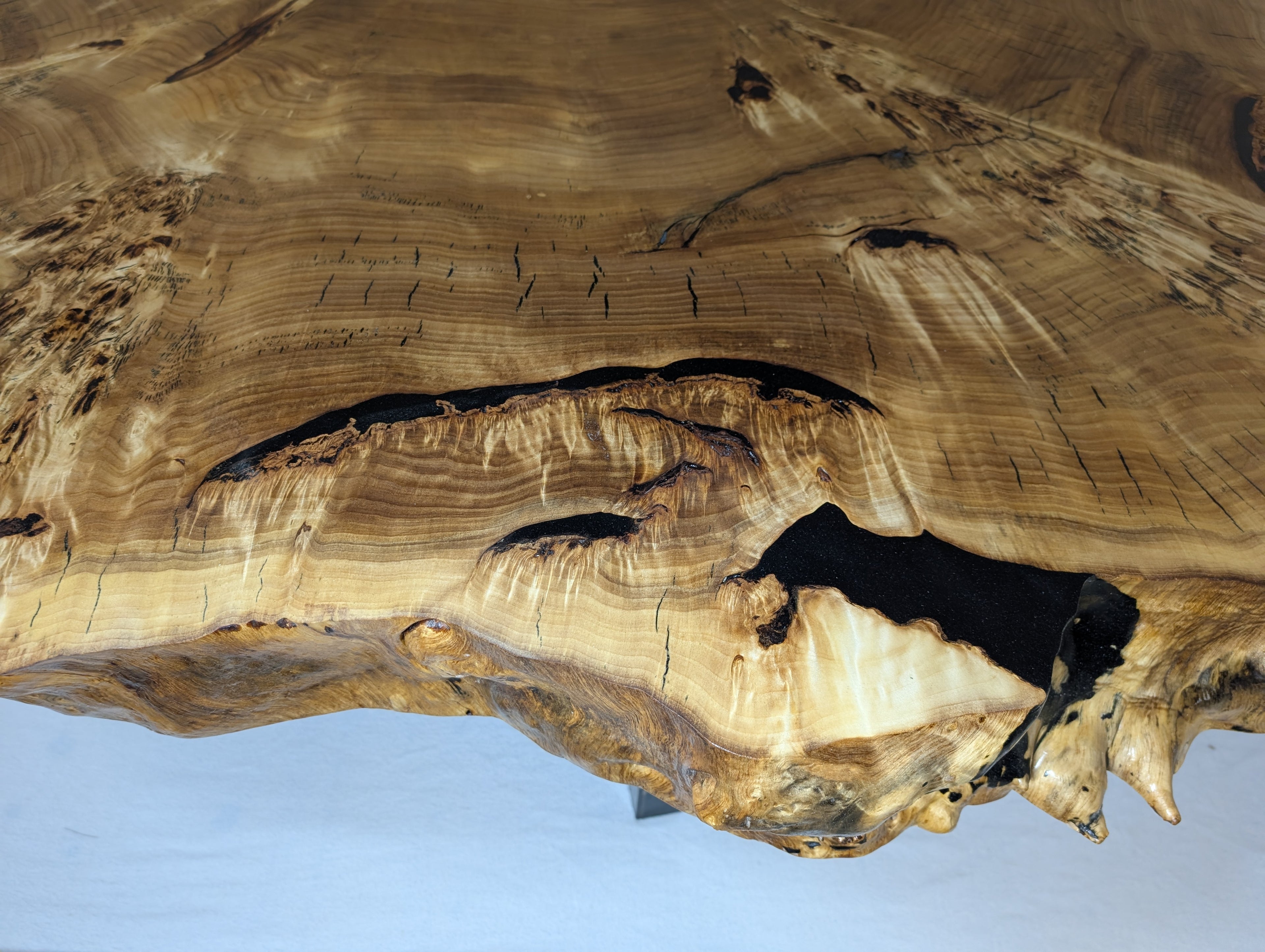 Tisch Massivholz Baumscheibe Wohnzimmertisch Pappel Maser XXL