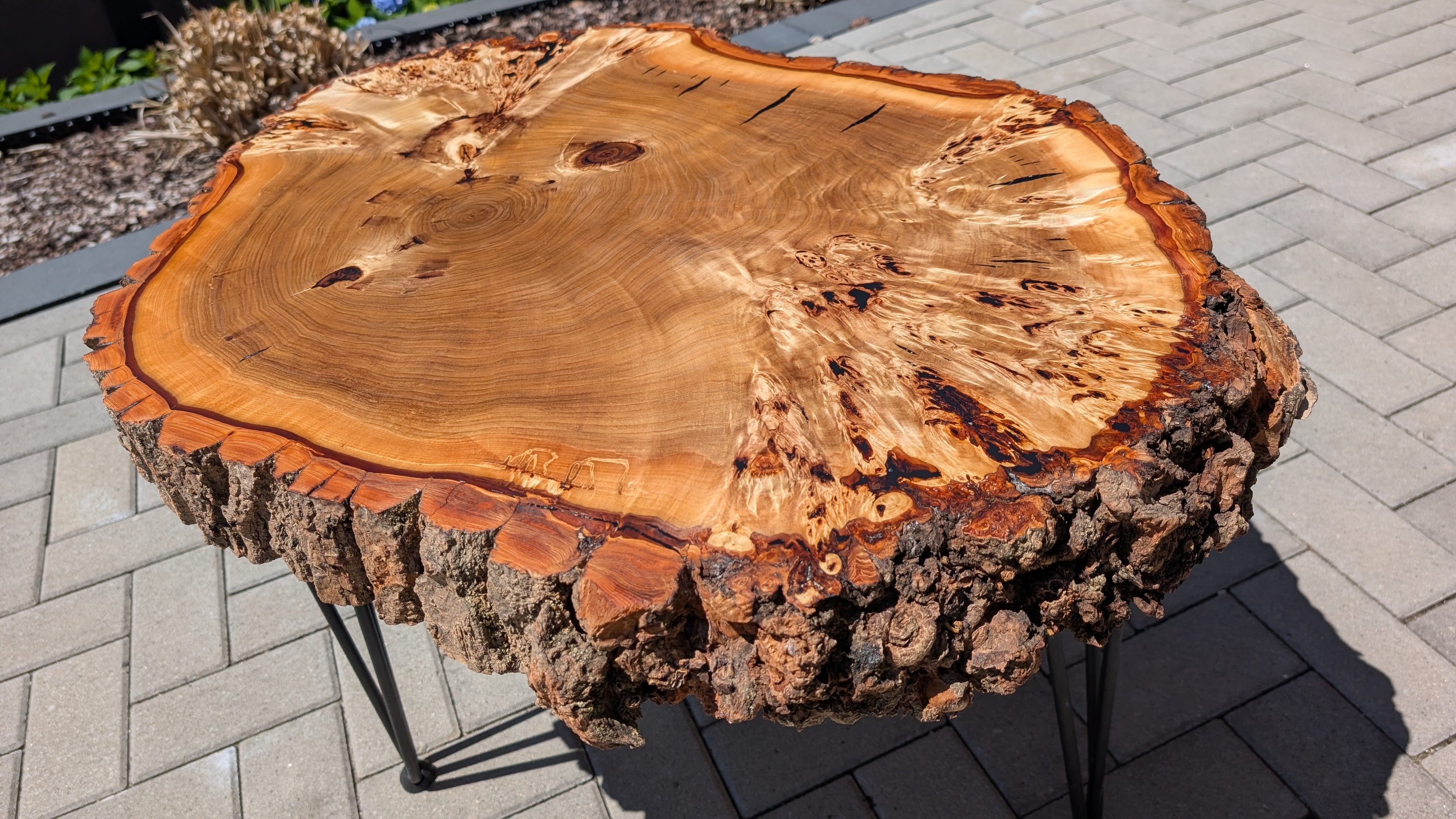 Baumkante Couchtisch Designertisch Baumscheibe Massivholz Unikat mit Naturkante & Rinde, Nadelbeine aus StahlBaumkante Couchtisch Designertisch Baumscheibe Massivholz Unikat mit Naturkante & Rinde, Nadelbeine aus Stahl