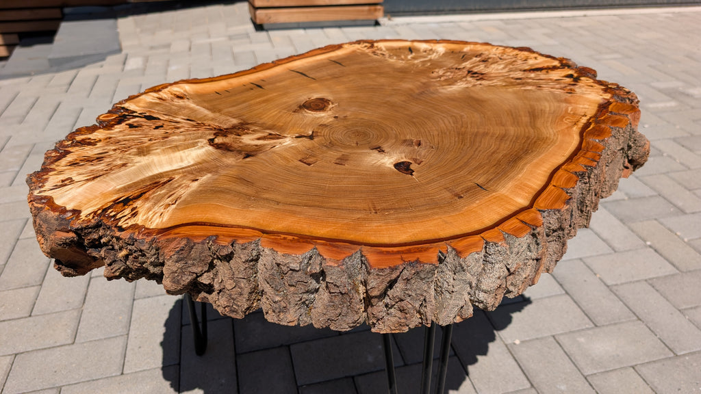 Baumkante Couchtisch Designertisch Baumscheibe Massivholz Unikat mit Naturkante & Rinde, Nadelbeine aus StahlBaumkante Couchtisch Designertisch Baumscheibe Massivholz Unikat mit Naturkante & Rinde, Nadelbeine aus Stahl